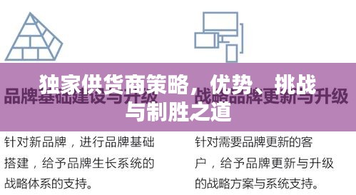 獨家供貨商策略，優(yōu)勢、挑戰(zhàn)與制勝之道