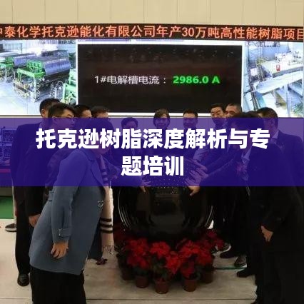 托克遜樹(shù)脂深度解析與專題培訓(xùn)