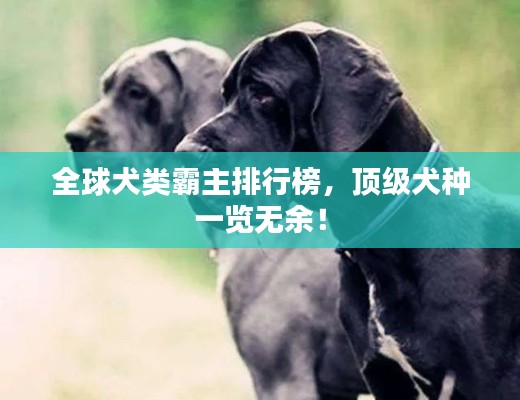 全球犬類霸主排行榜，頂級犬種一覽無余！
