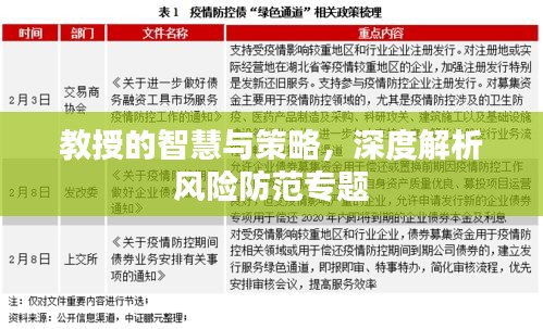教授的智慧與策略，深度解析風(fēng)險(xiǎn)防范專題