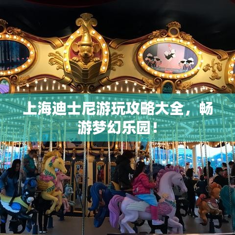 上海迪士尼游玩攻略大全，暢游夢(mèng)幻樂(lè)園！