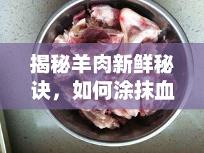 寒蟬僵鳥 第2頁