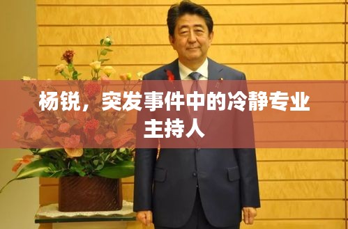 楊銳，突發(fā)事件中的冷靜專業(yè)主持人