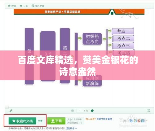 百度文庫精選，贊美金銀花的詩意盎然
