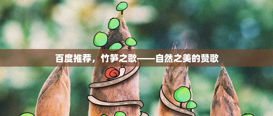 百度推薦，竹筍之歌——自然之美的贊歌