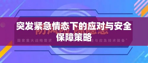 突發(fā)緊急情態(tài)下的應對與安全保障策略