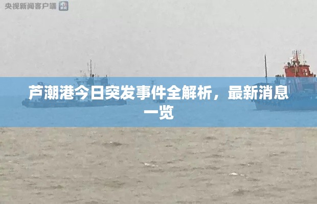 蘆潮港今日突發(fā)事件全解析，最新消息一覽