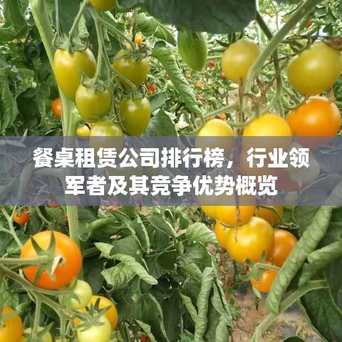 餐桌租賃公司排行榜，行業(yè)領軍者及其競爭優(yōu)勢概覽