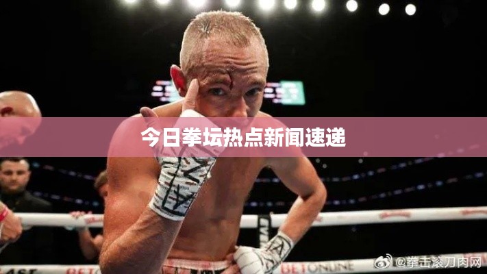 今日拳壇熱點新聞速遞