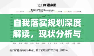 自我落實(shí)規(guī)劃深度解讀，現(xiàn)狀分析與未來展望