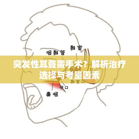 后會(huì)難期 第2頁