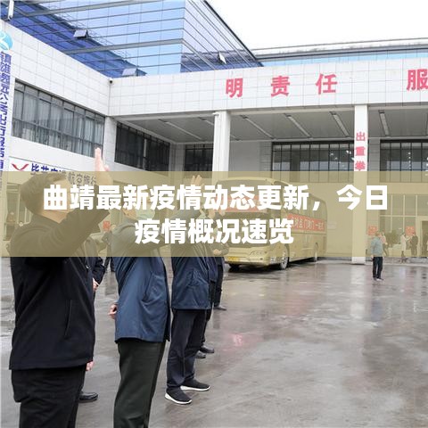 曲靖最新疫情動態(tài)更新，今日疫情概況速覽