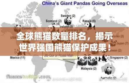 全球熊貓數(shù)量排名，揭示世界強國熊貓保護成果！