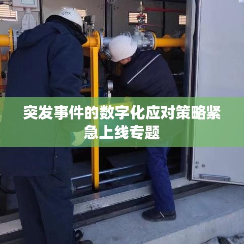 突發(fā)事件的數(shù)字化應(yīng)對(duì)策略緊急上線專題