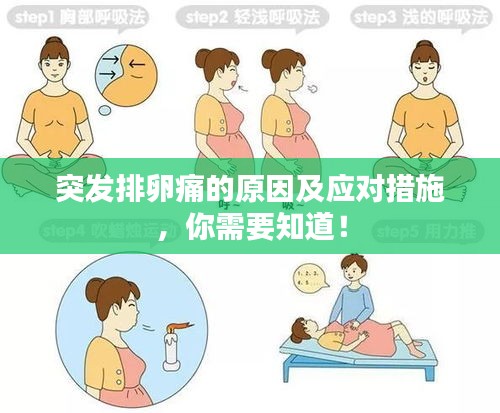 突發(fā)排卵痛的原因及應(yīng)對(duì)措施，你需要知道！