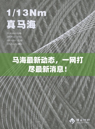 馬海最新動態(tài)，一網(wǎng)打盡最新消息！