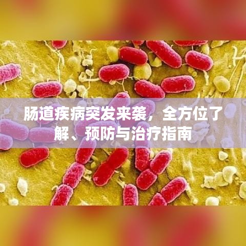 腸道疾病突發(fā)來襲，全方位了解、預(yù)防與治療指南