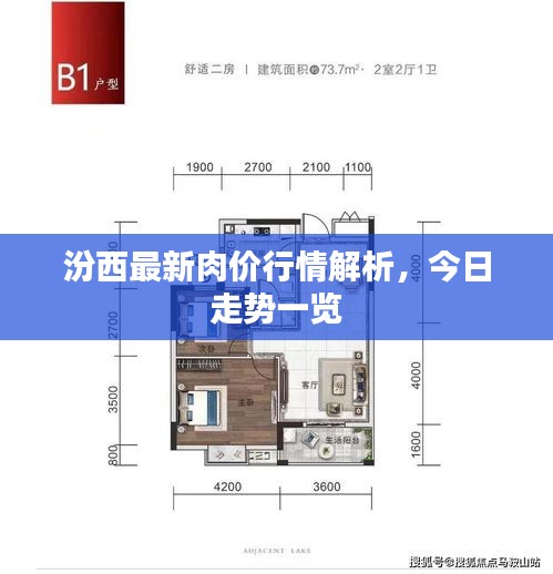 汾西最新肉價行情解析，今日走勢一覽