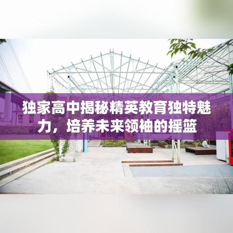 獨家高中揭秘精英教育獨特魅力，培養(yǎng)未來領(lǐng)袖的搖籃