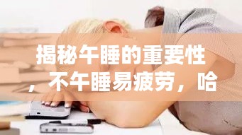 揭秘午睡的重要性，不午睡易疲勞，哈欠連連來襲！