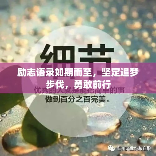 勵(lì)志語錄如期而至，堅(jiān)定追夢(mèng)步伐，勇敢前行