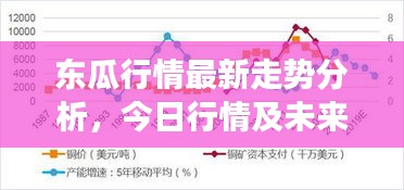 東瓜行情最新走勢分析，今日行情及未來展望