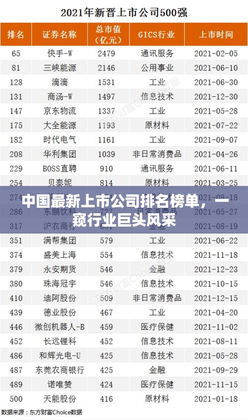 中國最新上市公司排名榜單，一窺行業(yè)巨頭風(fēng)采