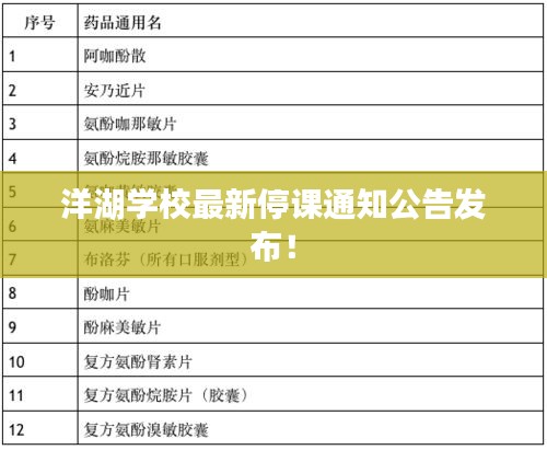 洋湖學(xué)校最新停課通知公告發(fā)布！