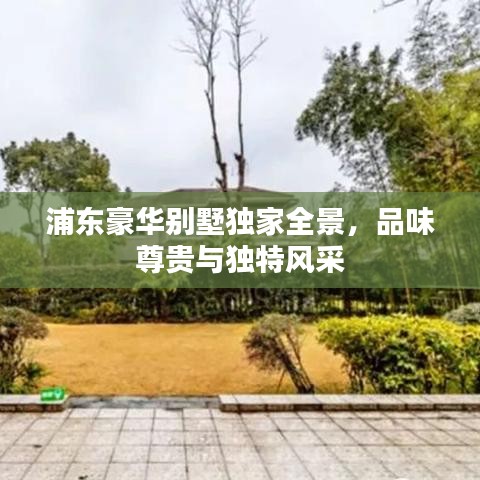 浦東豪華別墅獨(dú)家全景，品味尊貴與獨(dú)特風(fēng)采
