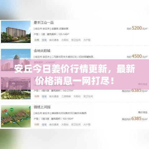 安丘今日姜價(jià)行情更新，最新價(jià)格消息一網(wǎng)打盡！