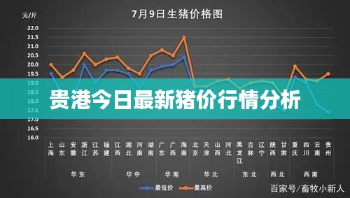 貴港今日最新豬價(jià)行情分析
