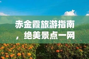 赤金霞旅游指南，絕美景點(diǎn)一網(wǎng)打盡！