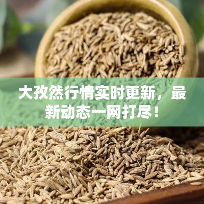 大孜然行情實時更新，最新動態(tài)一網(wǎng)打盡！