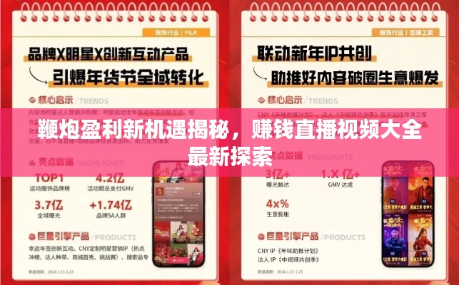 鞭炮盈利新機遇揭秘，賺錢直播視頻大全最新探索