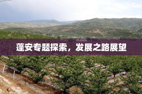 蓬安專題探索，發(fā)展之路展望