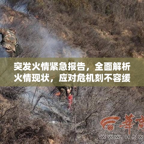 突發(fā)火情緊急報(bào)告，全面解析火情現(xiàn)狀，應(yīng)對危機(jī)刻不容緩