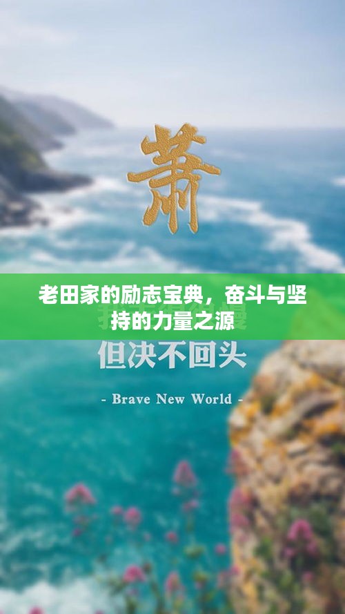 老田家的勵志寶典，奮斗與堅持的力量之源