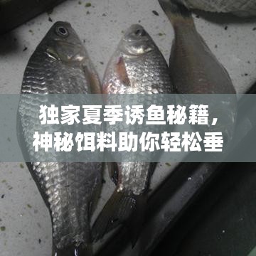 獨(dú)家夏季誘魚秘籍，神秘餌料助你輕松垂釣！