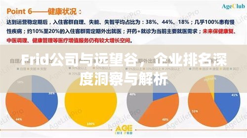 Frid公司與遠(yuǎn)望谷，企業(yè)排名深度洞察與解析