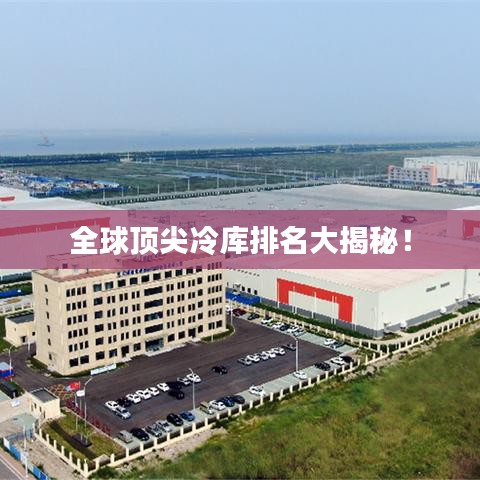 全球頂尖冷庫排名大揭秘！