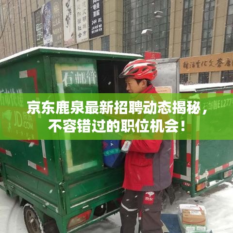 京東鹿泉最新招聘動(dòng)態(tài)揭秘，不容錯(cuò)過(guò)的職位機(jī)會(huì)！