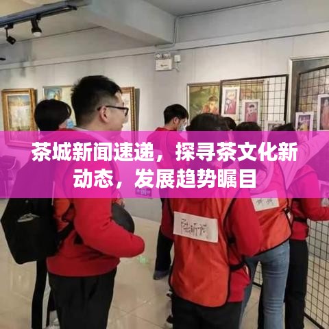 茶城新聞速遞，探尋茶文化新動(dòng)態(tài)，發(fā)展趨勢(shì)矚目