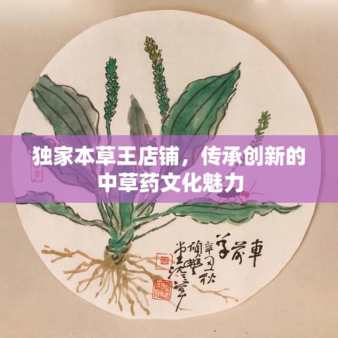 獨(dú)家本草王店鋪，傳承創(chuàng)新的中草藥文化魅力