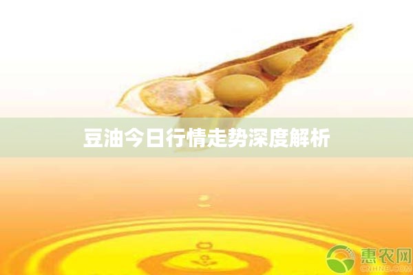 豆油今日行情走勢深度解析