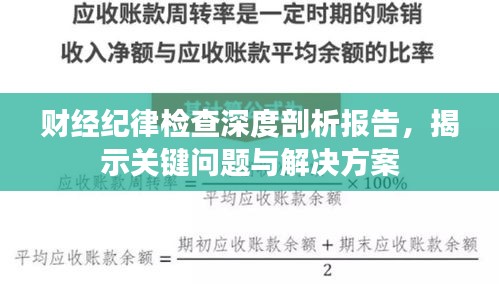 財經(jīng)紀律檢查深度剖析報告，揭示關(guān)鍵問題與解決方案