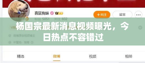 楊國宗最新消息視頻曝光，今日熱點(diǎn)不容錯(cuò)過