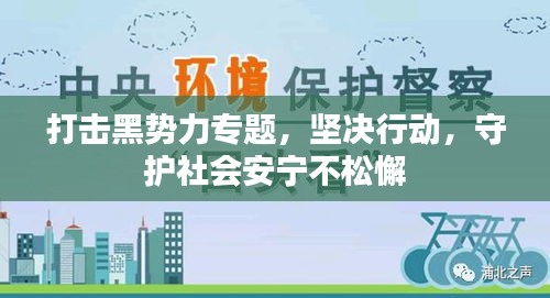 打擊黑勢力專題，堅決行動，守護(hù)社會安寧不松懈