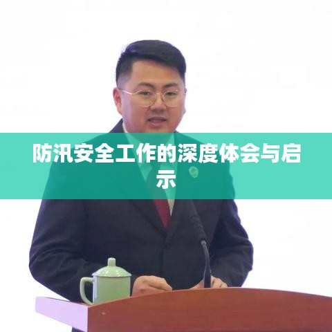 防汛安全工作的深度體會與啟示