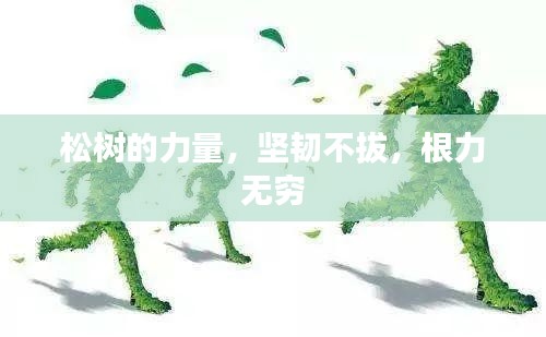 松樹的力量，堅韌不拔，根力無窮