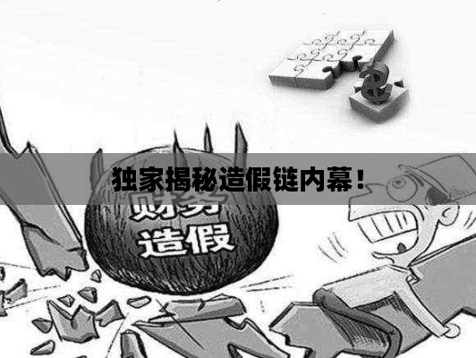 獨(dú)家揭秘造假鏈內(nèi)幕！